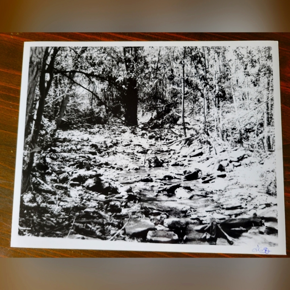 Spooky Photo Handmade Original